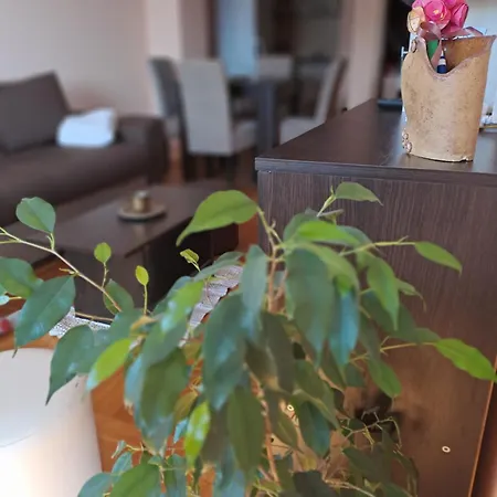 Sm 2 Apartman Apartment Subotica