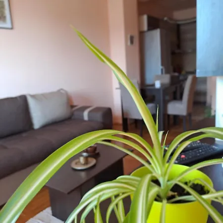 Sm 2 Apartman Subotica